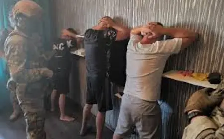 На Одещині посадовці порту розтратили понад 8 млн гривень на закупці навантажувачів