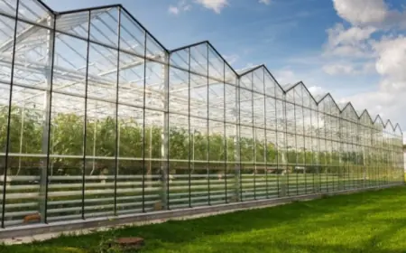 В Україні змінили правила надання грантів на сади та теплиці