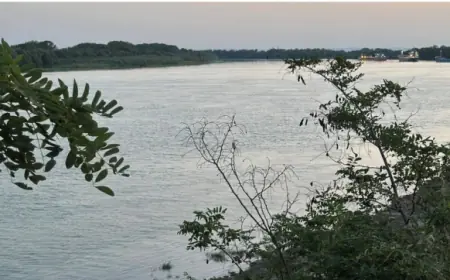 Рівень води в Дунаї на Ізмаїльщині трохи піднявся