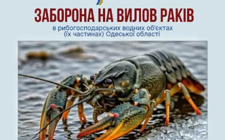 В Одеській області вводиться заборона на вилов річкових раків