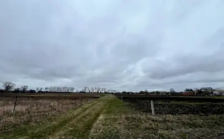 Як отримати доступ до кадастрової карти