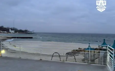 В акваторії Чорного моря зафіксований розлив олії