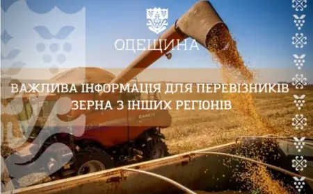 Водіям зерновозів нагадали про перепустки для нічного пересування Одещиною