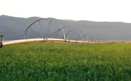 Без зрошення Україна може втратити половину аграрного виробництва