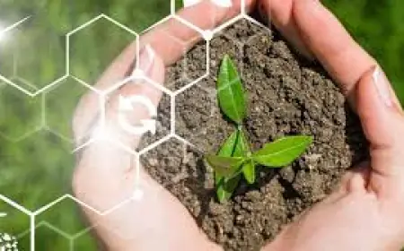 Вебінар "Збереження ґрунту": оприлюднена програма заходу