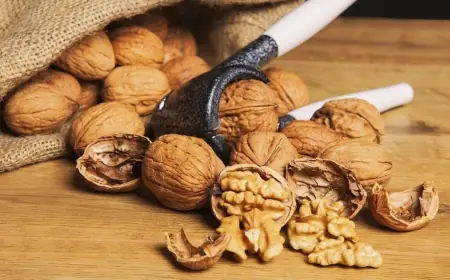 Фермери з Одещини створили горіховий сад на 105 га і готуються до світового ринку