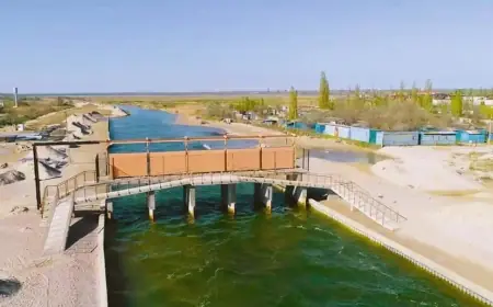 Катастрофа на Тилігулі: риби немає, солоність росте, а реконструкція не спрацювала