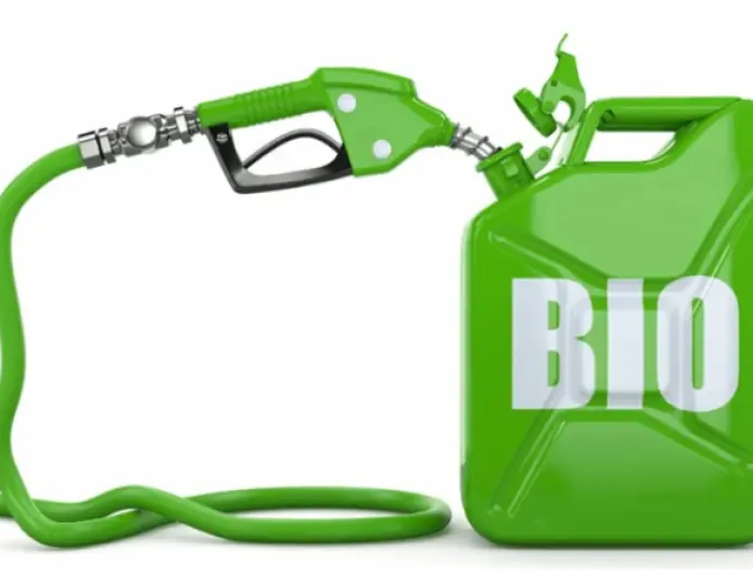 Британський вчений: біопаливо небезпечно для життя