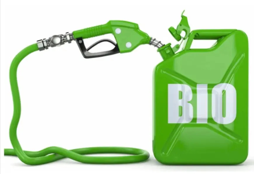 Британський вчений: біопаливо небезпечно для життя