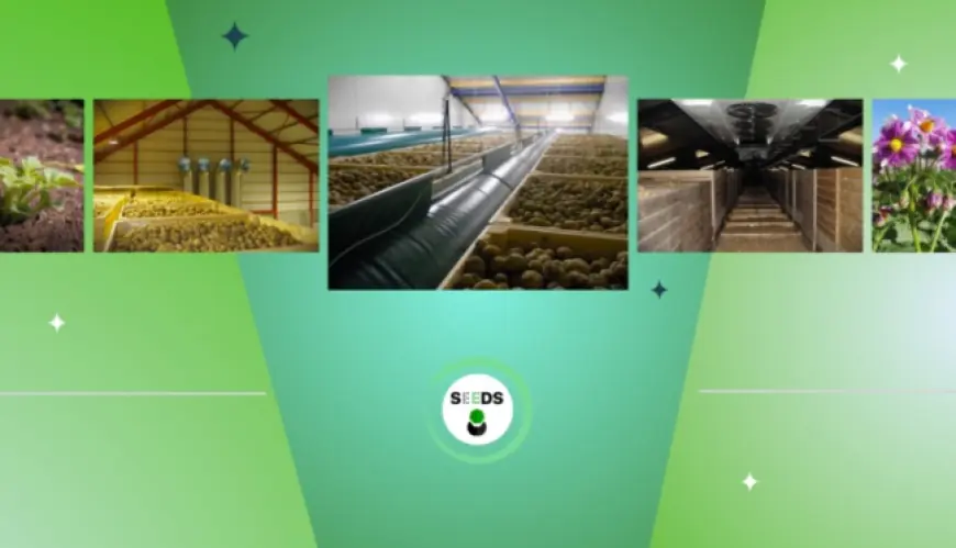 У 2026 році аграрії отримають державні гранти на будівництво сучасних овочесховищ