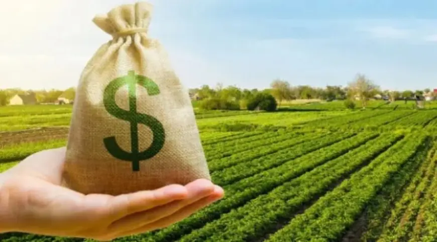 Аграрії сплатили понад 1 млрд грн за державні землі через "Земельний банк"