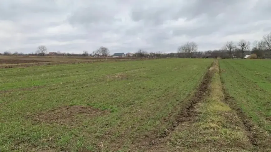 Чи мають право сусіди змінювати межі своїх ділянок за згодою