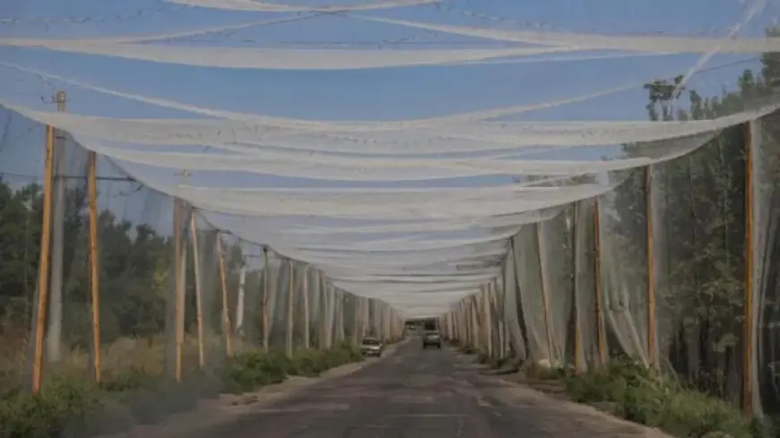 Пояс фортець на Донбасі: чому він важливий для України