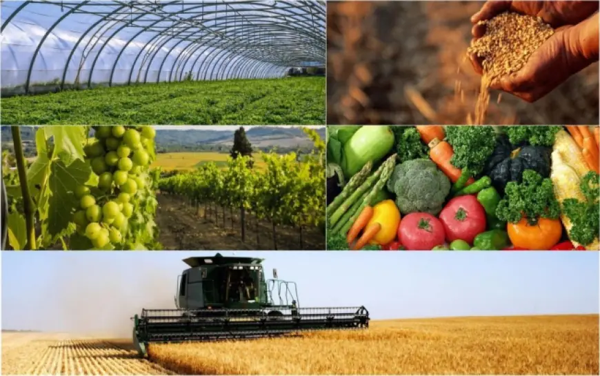 Кабмін змінив план реалізації стратегії розвитку сільського господарства