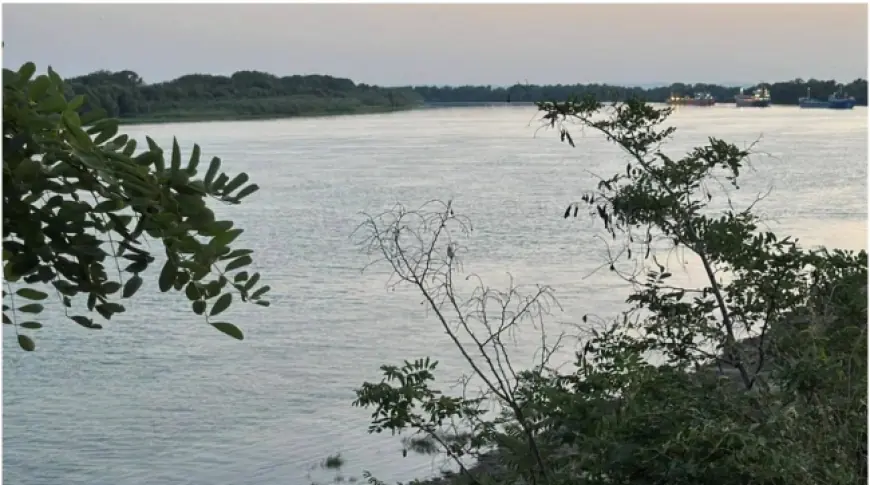 Рівень води в Дунаї на Ізмаїльщині трохи піднявся