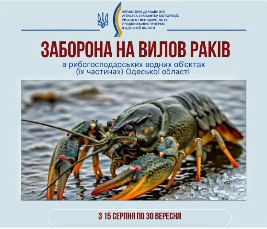 В Одеській області вводиться заборона на вилов річкових раків
