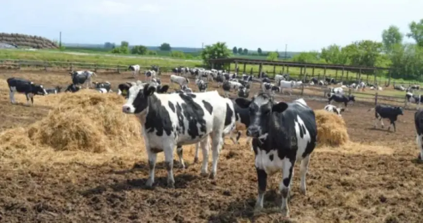 Держава компенсуватиме фермерам 25% витрат на будівництво і реконструкцію ферм