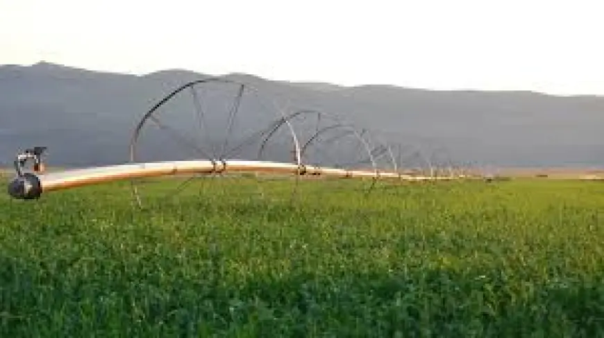 Без зрошення Україна може втратити половину аграрного виробництва