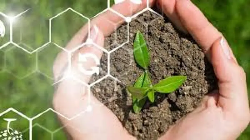 Вебінар "Збереження ґрунту": оприлюднена програма заходу