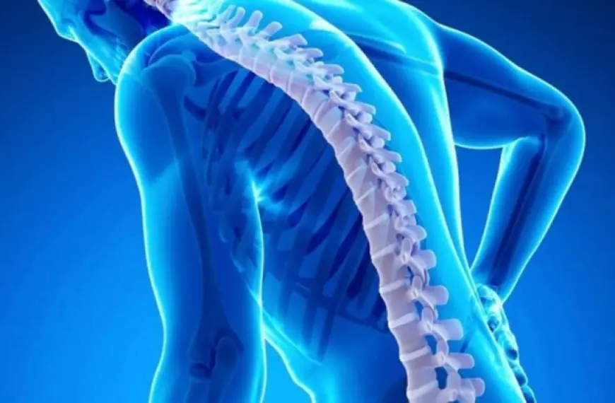 Тихий ворог кісток: що таке остеопороз і чому він починається непомітно