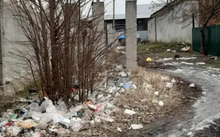 За вывоз мусора придётся платить