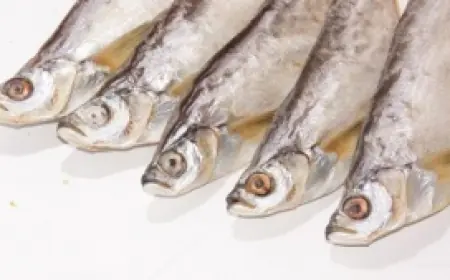 Основные причины отравления рыбой и первая помощь