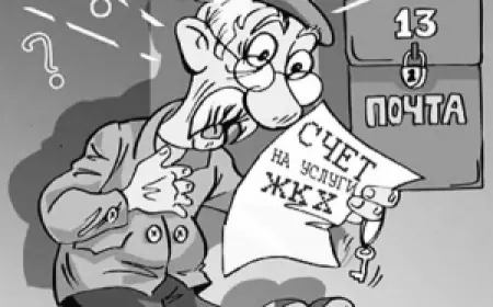 Субсидии: подводные камни, подвохи и ловушки?