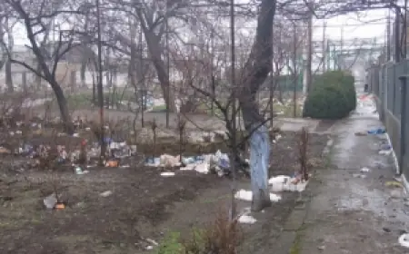 Свалка с тридцатилетним стажем