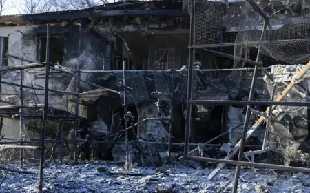 росія вдарила авіабомбою по беззахисним тваринам Фельдман Екопарку