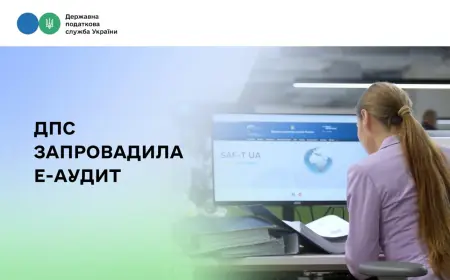ДПС запровадила Е-аудит