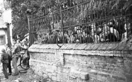 Тайна чёрно-белой фотоплёнки