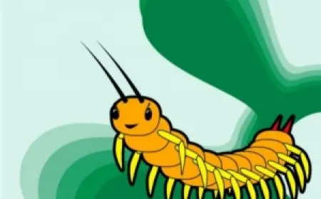 <br /> У&nbsp;сороконожки появились крошки&hellip;