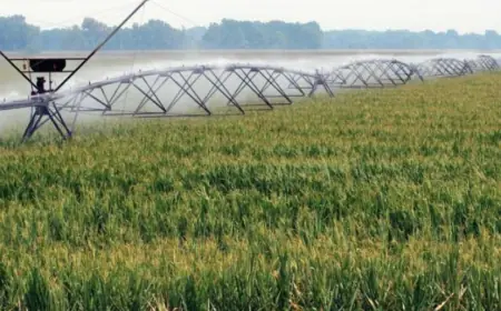 Аграрний сектор торік отримав 34 млн грн держпідтримки на розвиток зрошення