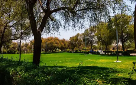 Посадка дерев у Дубаї, чи на часі те саме в Ізмаїлі?