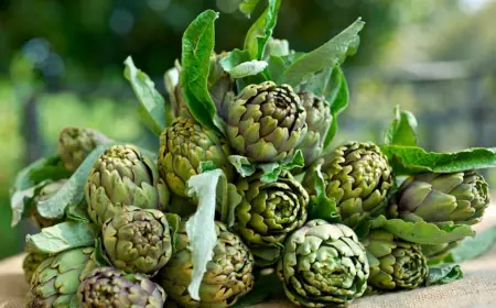 Потребує багато води. На Одещині збирають по два врожаї нетрадиційної для України культури за сезон