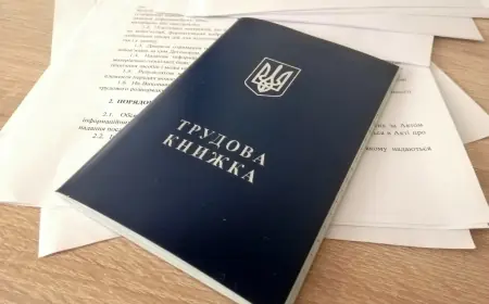 Кількість трудових договорів для працівників збільшать: які зміни внесли у трудове законодавство