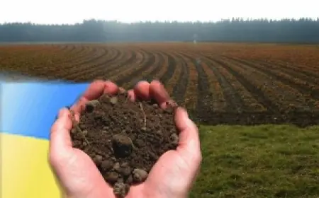 Іноземці ближче до українських полів: що означає закон про множинне громадянство