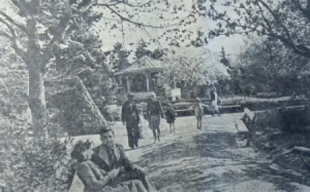 Из истории Городского сада