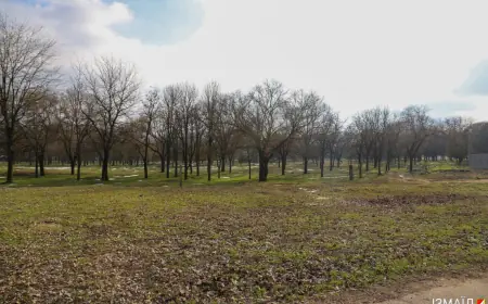 "Выставочное" дело