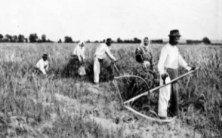 Спекуляция землёй