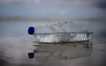 Мікропластик з пляшок може вбивати клітини підшлункової та спричиняти діабет: дослідження