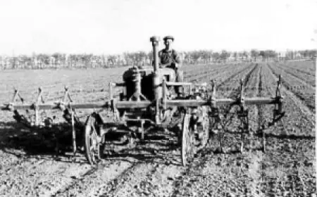 Засушливое лето 1945