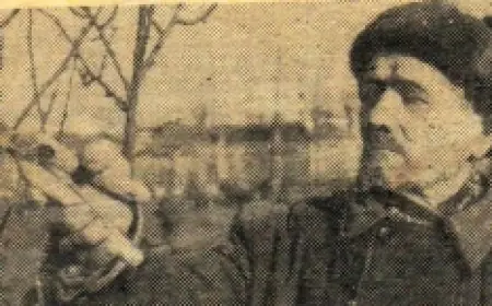 Волшебник зелёного города