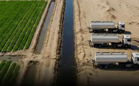 В ОАЕ протестували норвезьку технологію перетворення пустелі на фермерські угіддя