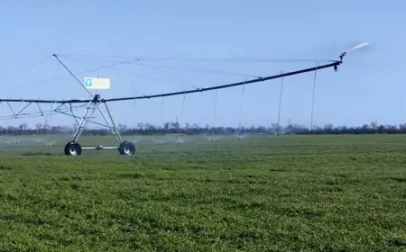 Масштабна реформа меліорації: з 1 січня 2026 року в Україні стартував новий етап передачі меліоративних об’єктів