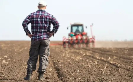 Застарілий статут коштував фермеру майже все господарство