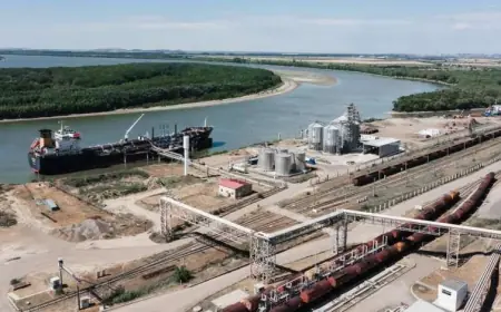 Румунія купує оператора молдовського порту Джурджулешти для інтеграції в європейську логістику