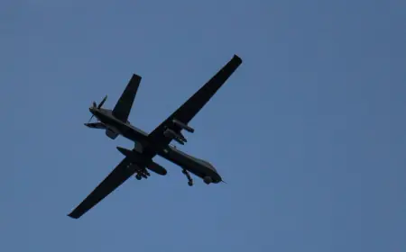 У східній Румунії знову знайшли уламки дрона.