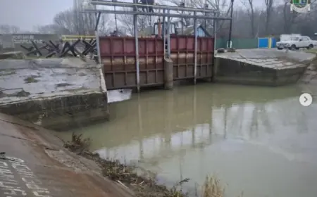 Про стан озер та розчистки каналів