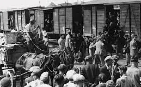 Забрали все. Навіть море і смак винограду. Інтерв’ю з істориком про депортацію кримських татар